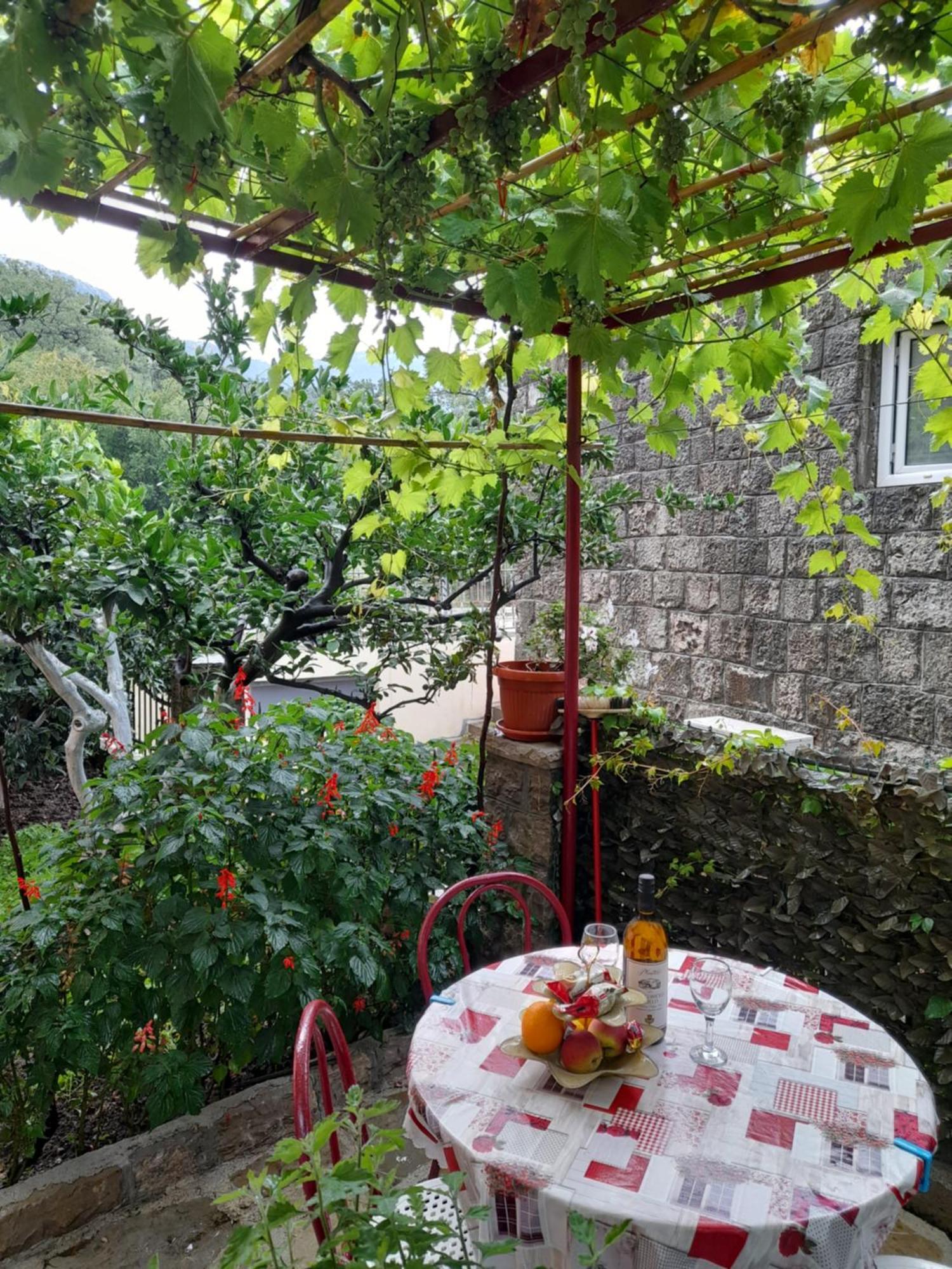 Apartments Kovacevic Petrovac Pokoj fotografie